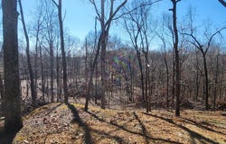876 W Antioch Rd, SPRINGVILLE, TN 38256