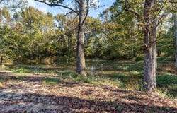 2535 Covington Road, Ward, AR 72176