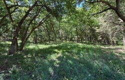 10 +/- Acres, Holt County, Lynch, NE 68746