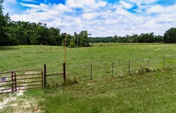 R28011 FM 1971, GARRISON, TX 75946