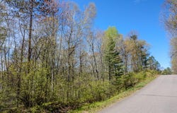 LITTLE BEARSKIN RD lot: 2, Harshaw, WI 54529