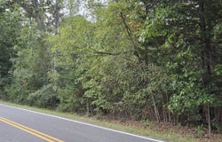 Tract 3 Edwardsville Rd, Hardy, VA 24101