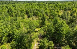 4011 W Forest Road, Lake City, MI 49651