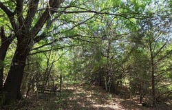64a Chestnut Ridge Road, Mccormick, SC 29835
