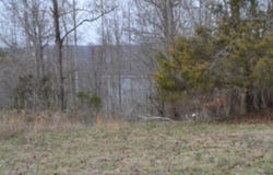 Fox Hill Road lot: 4&5, Baxter, TN 38544