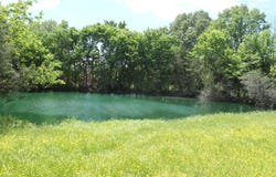 W Highway, Thayer, MO 65791