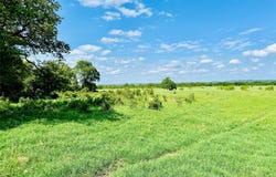 Cr 429, Cross Plains, TX 76443