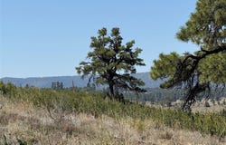 PD 1796, Chama, NM 87520