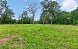 State Highway Dd, Bruner, MO 65620