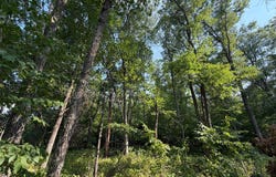 Pawnee Circle, Breezy Point, MN 56472