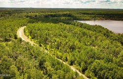 US-11, York, AL 36925