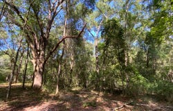 Live Oak, FL 32060