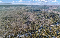 40 Acre, Delaware, AR 72835