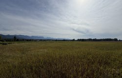 4675 MT Highway 35, Kalispell, MT 59901