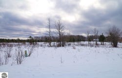 6412 Lora Bette Drive, Alanson, MI 49706