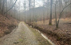 154 Turners branch, Eastern, KY 41622