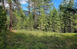 10 HUMES Rd, KETTLE FALLS, WA 99141