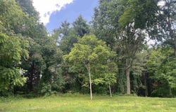 Donna Lane, Dryden, MI 48428