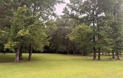 BEECHWOOD LOOP, Urania, LA 71480