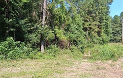 Alma Drive, Wilmer, AL 36687