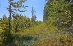River Bend Road, Columbia, MS 39429