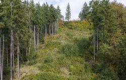 265 Talon Ct, Kalama, WA 98625