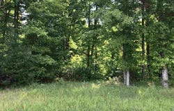 261 KYLE DRIVE, KALKASKA, MI 49646