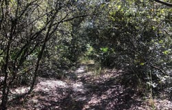 Oregon Street, Interlachen, FL 32148