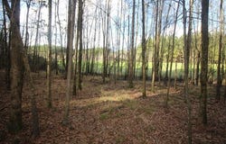 8284 Hwy 28, MIZE, MS 39111