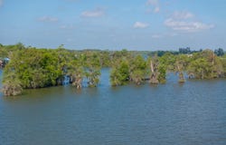 186 S Wilderness Road, Port Barre, LA 70577