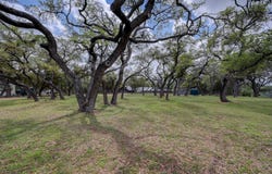 307 Mesa Dr, Wimberley, TX 78676