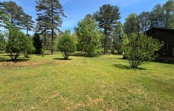 33 Big Tree Road, Suches, GA 30572