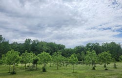 Perkins Drive, Boonville, IN 47601