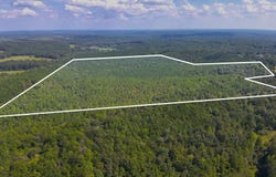 County Rd 369, Double Springs, AL 35553