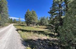 18 Quail Drive, Ramah, NM 87321
