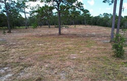 53RD Lane, MORRISTON, FL 32668