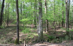 01 Ruffner Road, Barnesville, GA 30204