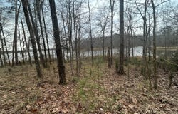 County Road 29, Alberta, AL 36720