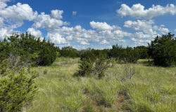 102 Sean Lane, Bangs, TX 76823