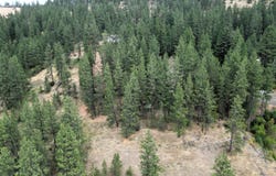 NNA LACON Ln, Harrison, ID 83833