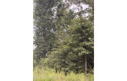 Candy Lane, McComb, MS 39648