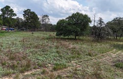 1228 Morning Glory Ln, Adkins, TX 78101