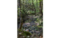 Gorgas Road, Berry, AL 35546