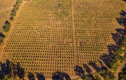 10370 Briggs Road, Red Bluff, CA 96080