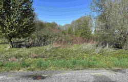 US 20 Highway, New Carlisle, IN 46552