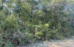 Grady Diamond Road, Perkinston, MS 39573