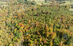 Tract C-2 Angel Ridge Road, Kings Mountain, KY 40442