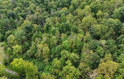 1055 River St, Gassaway, WV 26624