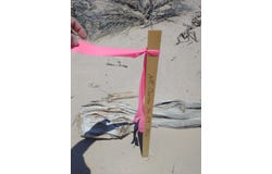 Beryl, UT 84714