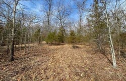 LAKEPOINTE DRIVE lot: 4, Clarkridge, AR 72623